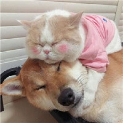 มิ้น มิ้นตี้ avatar